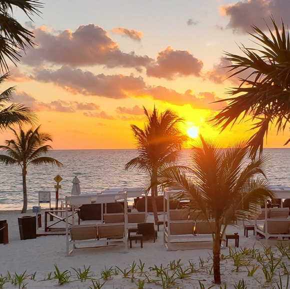 Meet your Posher, Kathy - Picture 1 of 1